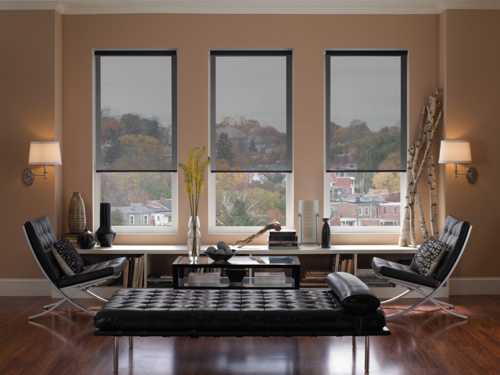 sheer shades, also known as screen shades or solar shades, in living room